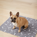 6 PUP PADS