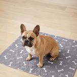 6 PUP PADS