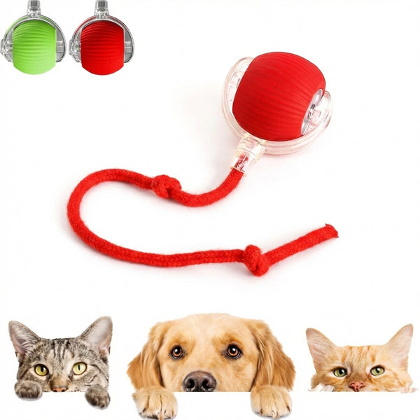 PurrPlay Smart Rolling Mouse Ball
